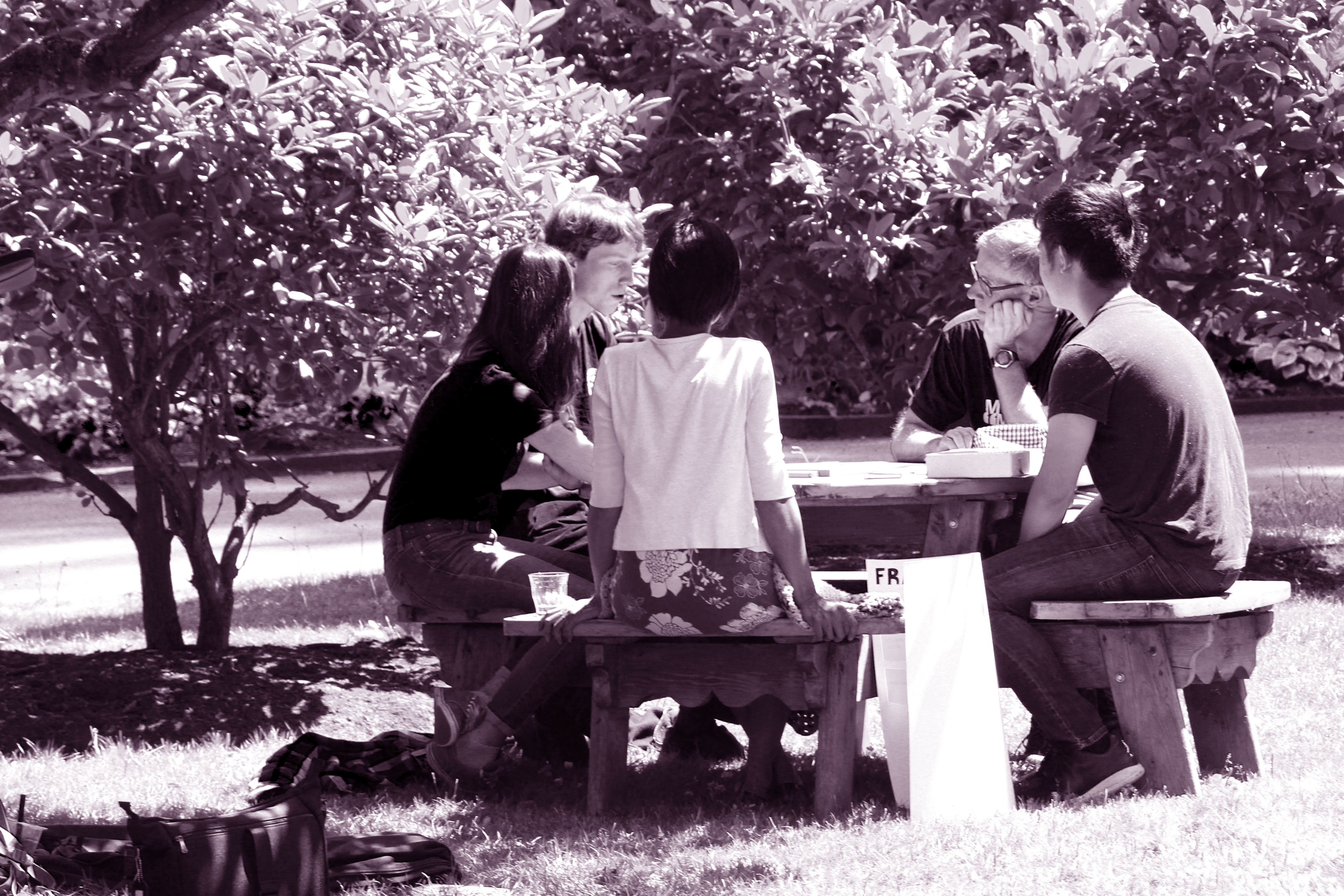 Photo of participatory workshop planning in progress